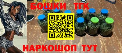 шишки Дубна