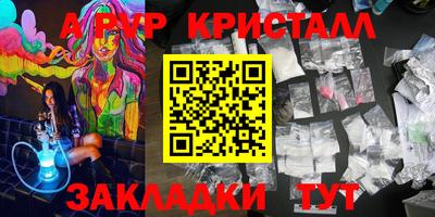 шишки Дубна