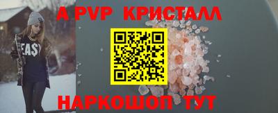 шишки Дубна