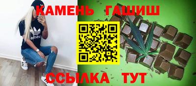 шишки Дубна