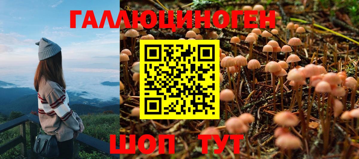Медногорск  Псилоцибиновые грибы Psilocybe  Галлюциногенные грибы GOLDEN TEACHER  Вход с VPN 